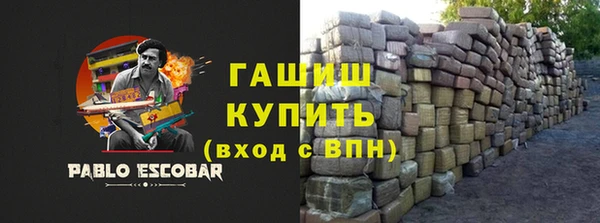 СК Алексин