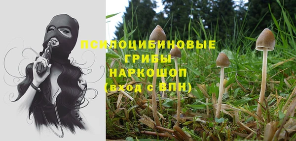 прущая мука Алзамай