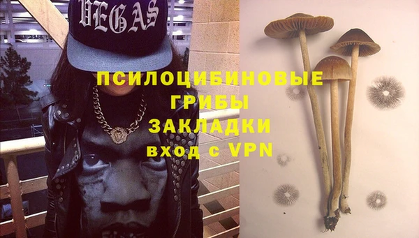 прущая мука Алзамай