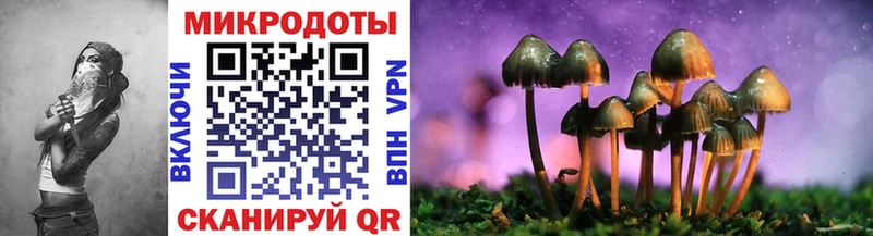Галлюциногенные грибы MAGIC MUSHROOMS  купить наркоту  Апшеронск 